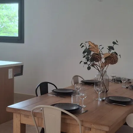 L 'oustalet Holiday home Saint-Paulet-de-Caisson